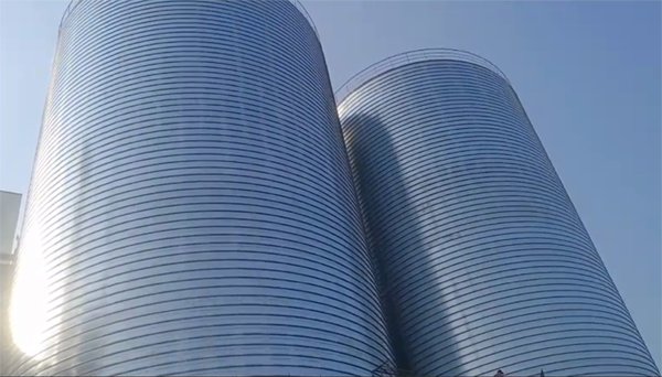 衢江2座混凝土高架卷板仓